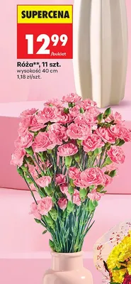 Róża 11 szt. wysokość 40 cm promocja w Biedronka