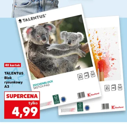 Blok rysunkowy A3 Talentus 40 kartek promocja w Kaufland