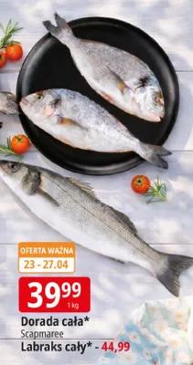 Dorada cała promocja w Leclerc