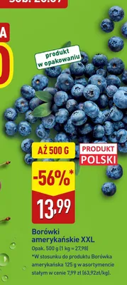 Borówki amerykańskie XXL polskie promocja w Aldi