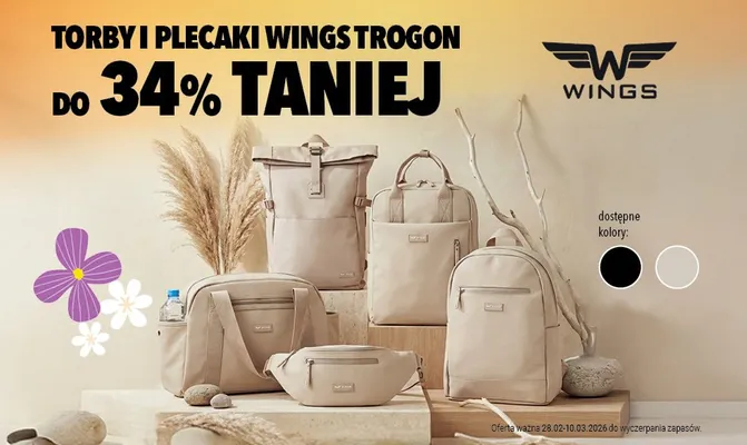 Torby i plecaki do 34% taniej promocja w Biedronka Home