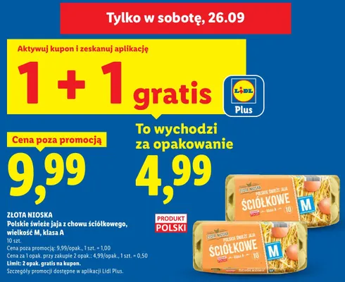 Jaja z chowu ściółkowego Złota Nioska wielkość M 10 szt promocja w Lidl