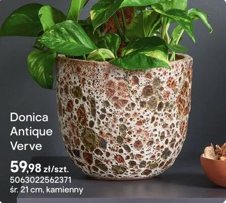 Donica Antique Verve kamienny promocja w Castorama