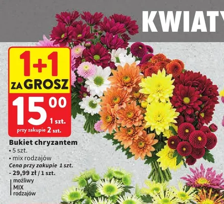 Bukiet chryzantem promocja w Intermarche