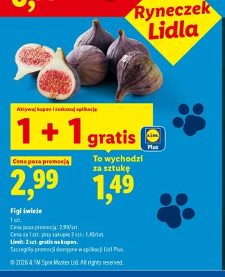 Figi świeże promocja w Lidl