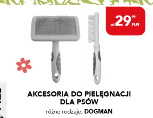 Akcesoria do pielęgnacji dla psów Dogman promocja w Aquael zoo