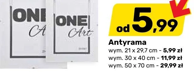 Antyrama promocja w Bricomarche