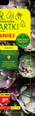 Karczoch promocja w Biedronka