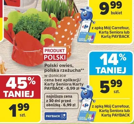 Polski owies, polska rzeżucha w doniczce promocja w Carrefour Market