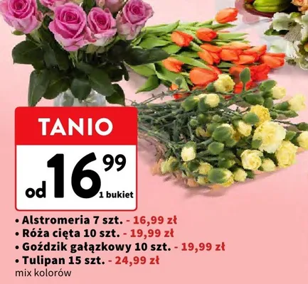 Alstromeria 7 szt. promocja w Intermarche