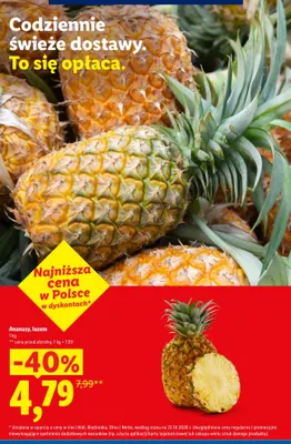 Ananasy luzem promocja w Lidl