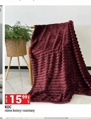 Koc promocja w Merkury Market