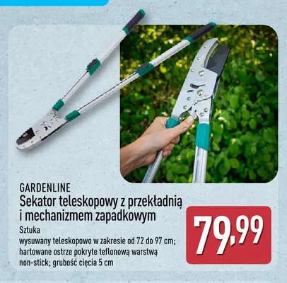 Sekator teleskopowy z przekładnią i mechanizmem zapadkowym Gardenline promocja w Aldi