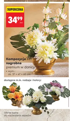 Kompozycja nagrobna premium w donicy promocja w Biedronka