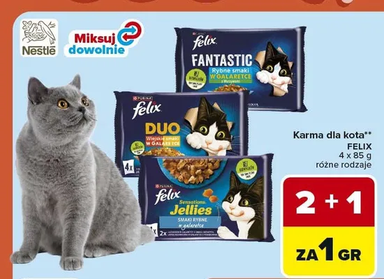 Karma dla kota Felix promocja w Carrefour