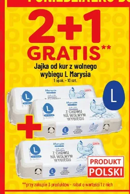 Jajka od kur z wolnego wybiegu L Marysia promocja w POLOmarket