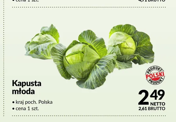 Kapusta młoda polska promocja w Makro