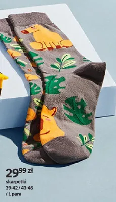 Skarpetki kapibara 39-42/43-46 promocja w Empik