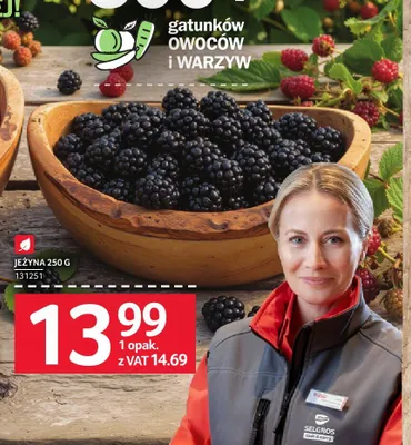 Jeżyna promocja w Selgros