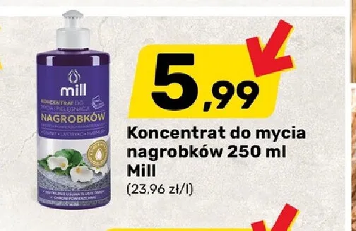 Koncentrat do mycia nagrobków Mill promocja w Bricomarche
