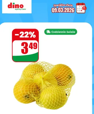 Cytryna siatka promocja w Dino