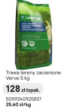 Trawa tereny zacienione promocja w Castorama