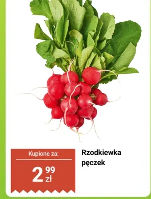 Rzodkiewka pęczek promocja w Biedronka