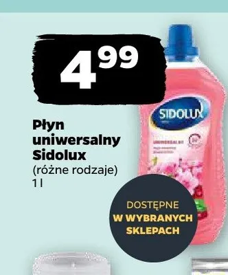 Płyn uniwersalny niebieski Auchan promocja w Netto