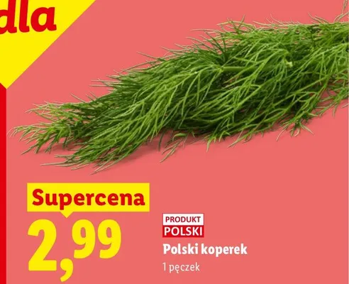 Koperek polski promocja w Lidl