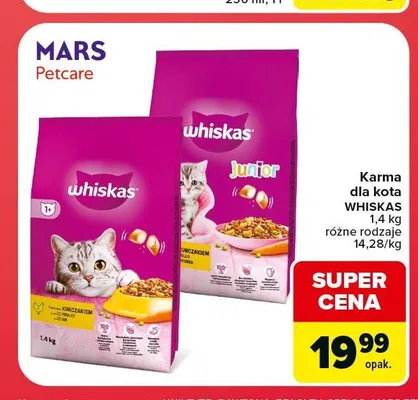 Karma dla kota Whiskas Junior promocja w Carrefour Market