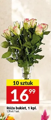 Róża bukiet 10-pak promocja w Twój Market