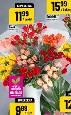 Róże promocja w POLOmarket