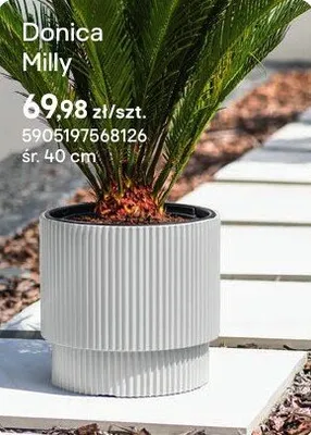Donica Milly promocja w Castorama