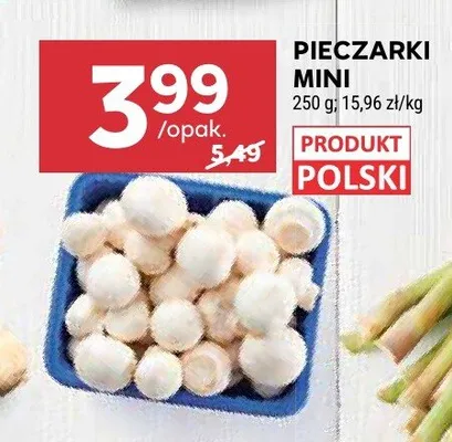 Pieczarki mini promocja w Stokrotka