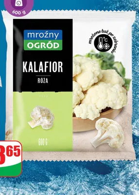 Kalafior róża promocja w Dino