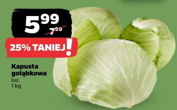 Kapusta gołąbkowa luz promocja w Netto