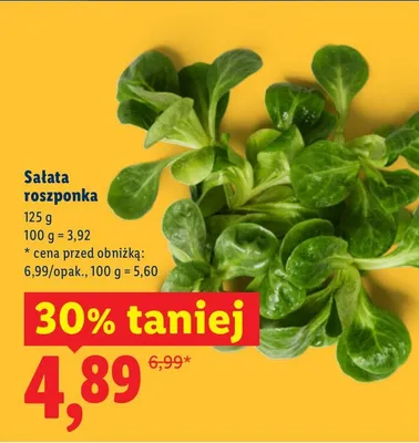 Sałata roszponka promocja w Lidl