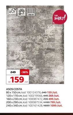 Dywan Asos Costa 240x340 cm promocja w Komfort