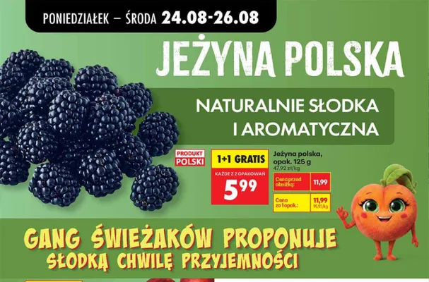 Jeżyna polska promocja w Biedronka