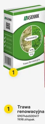 Trawa renowacyjna 0,8 kg promocja w Castorama