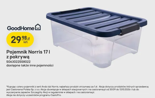 Pojemnik Norris 17 l z pokrywą GoodHome promocja w Castorama