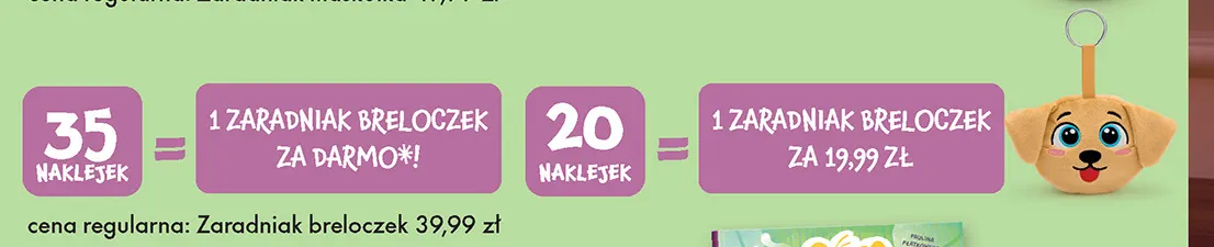 Breloczek Zaradniak promocja w Biedronka