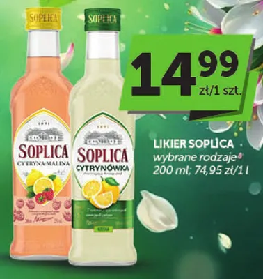 Likier wybrane rodzaje promocja w ABC