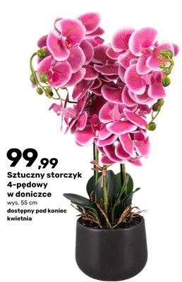 Sztuczny storczyk 4-pędowy w doniczce promocja w Bricomarche