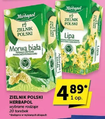 Herbata zielnik polski wybrane rodzaje promocja w Groszek