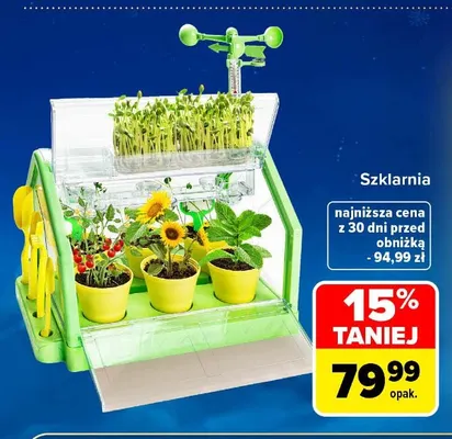 Szklarnia promocja w Carrefour Market