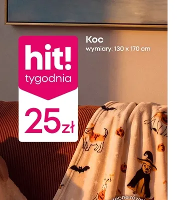 Koc 130x170 cm promocja w Pepco