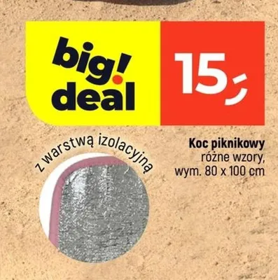 Koc piknikowy z warstwą izolacyjną promocja w Dealz