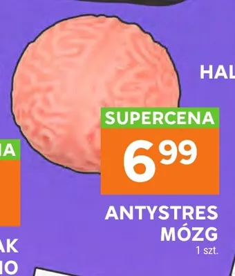 Antystres mózg promocja w Stokrotka
