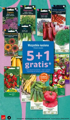 Nasiona Lawenda promocja w POLOmarket